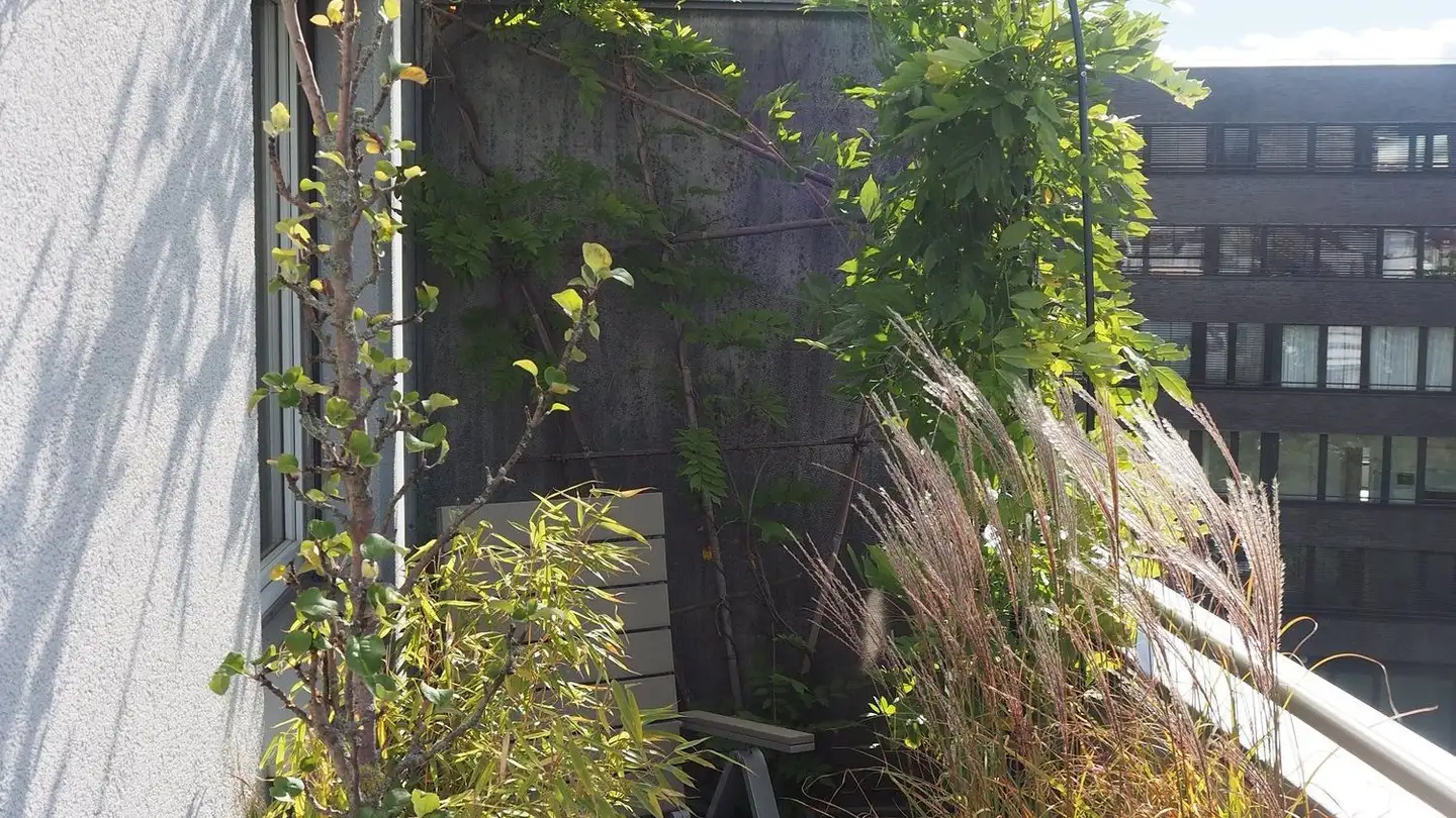 Appartement meublé à louer - 4056 Basel