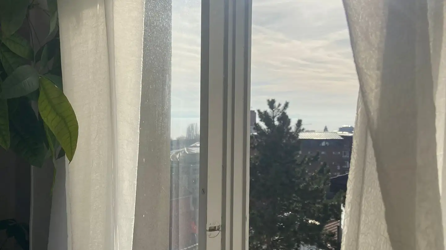 Stanza singola in affitto - 2000 Neuchâtel - Photo 2