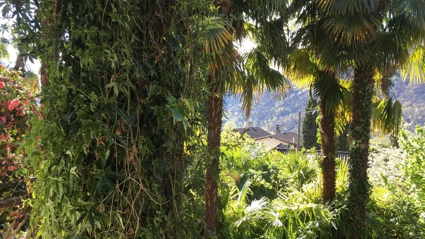 Stanza singola in affitto - Cantoi 19, 6654 Cavigliano - Foto 2