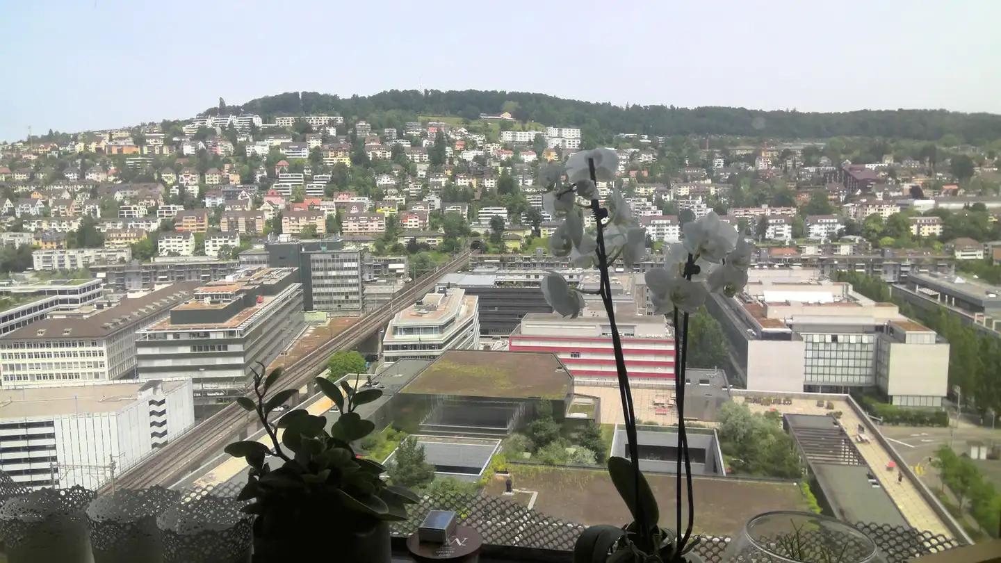 Furnished apartment for rent - Pfingstweidstrasse 94, 8005 Zürich - Photo 4