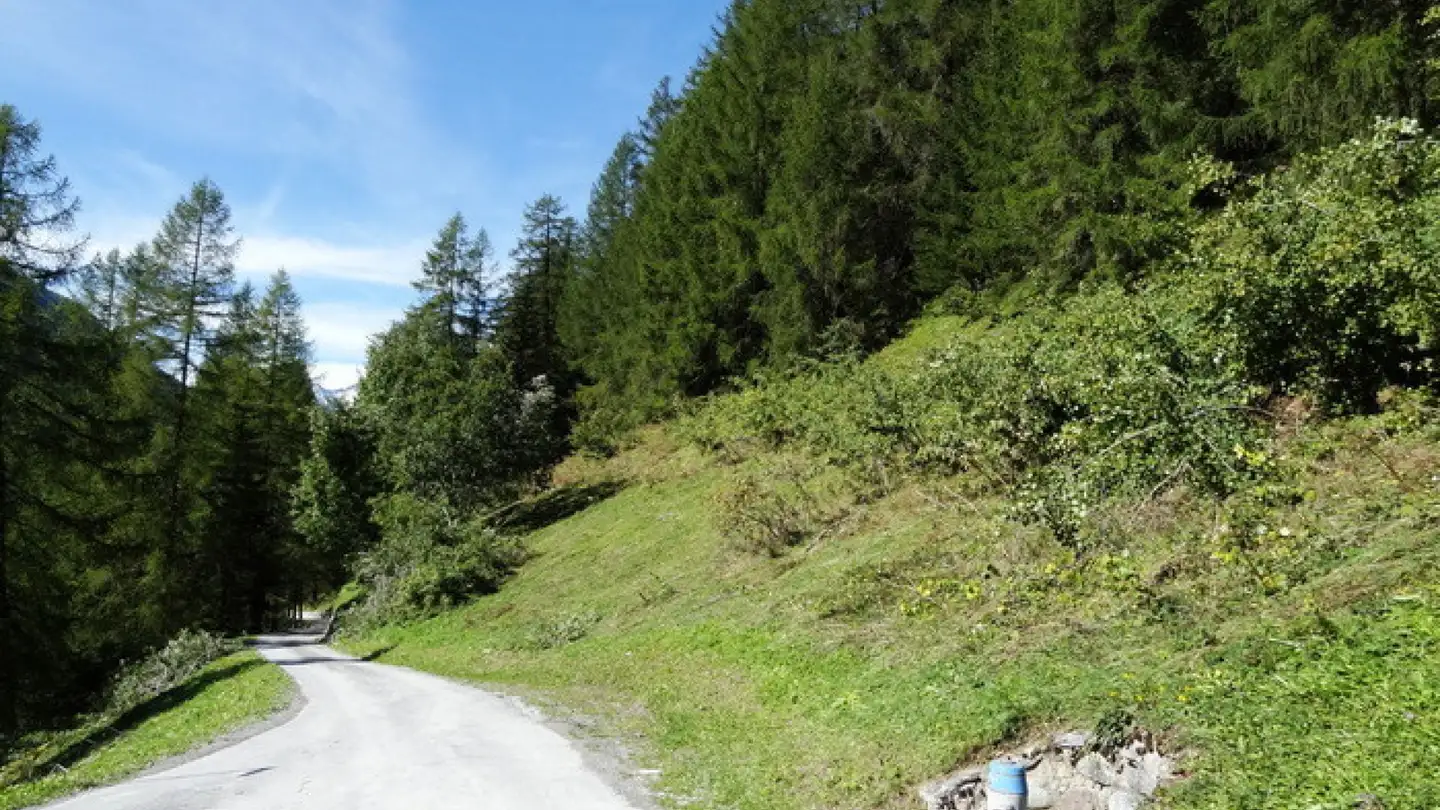 Terreno edificabile in vendita - 7482 Bergün/Bravuogn - Photo 3