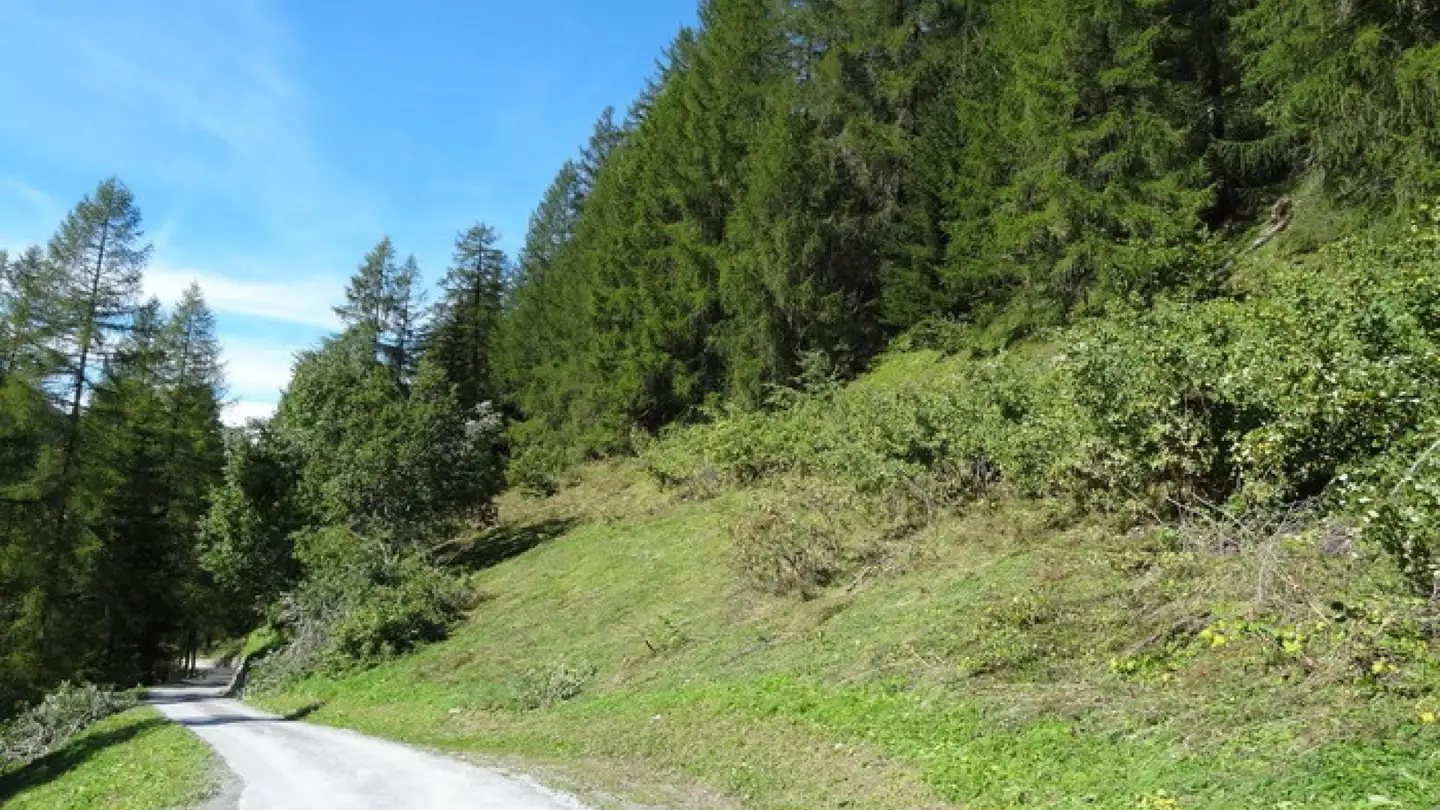 Terreno edificabile in vendita - 7482 Bergün/Bravuogn - Photo 4