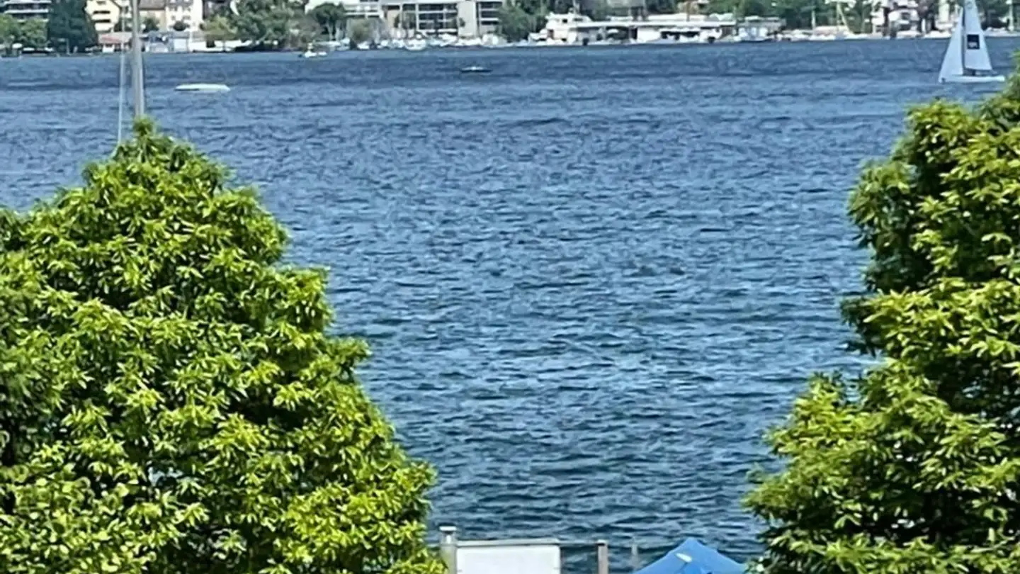 Single room for rent - Seestrasse, 8038 Zürich