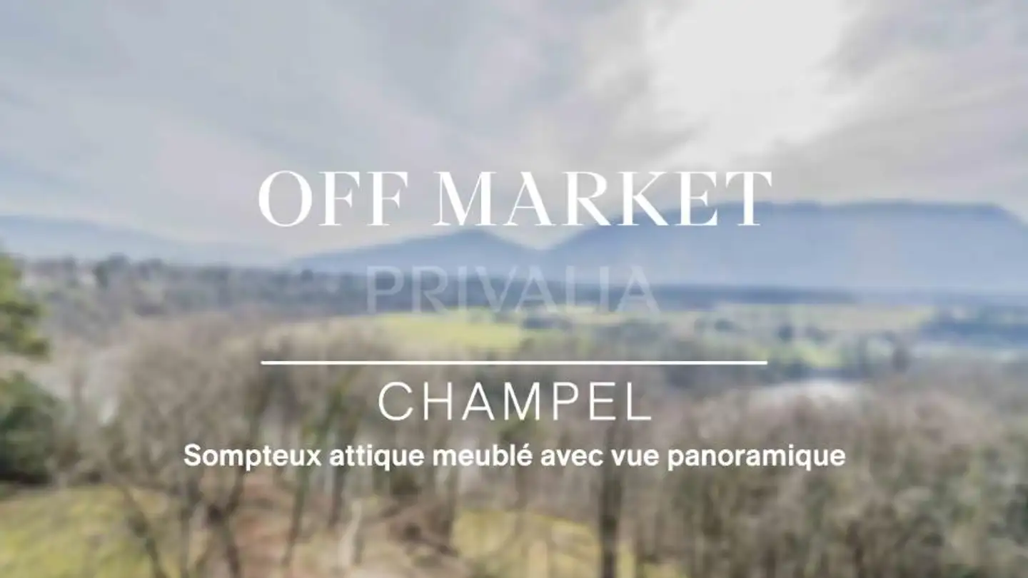 Attico in affitto - 1206 Genève