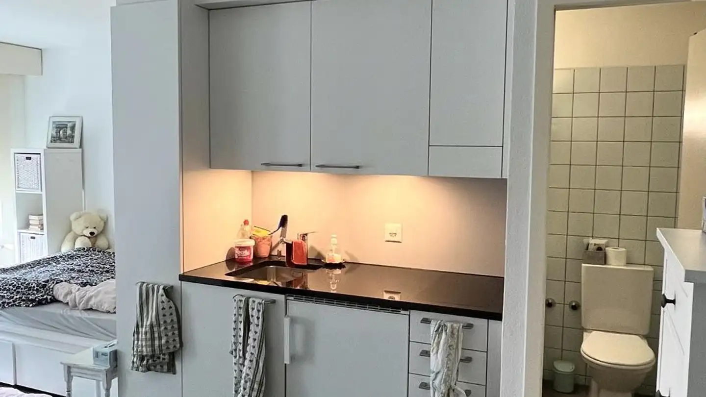 Appartamento ammobiliato in affitto - 3008 Bern - Foto 4