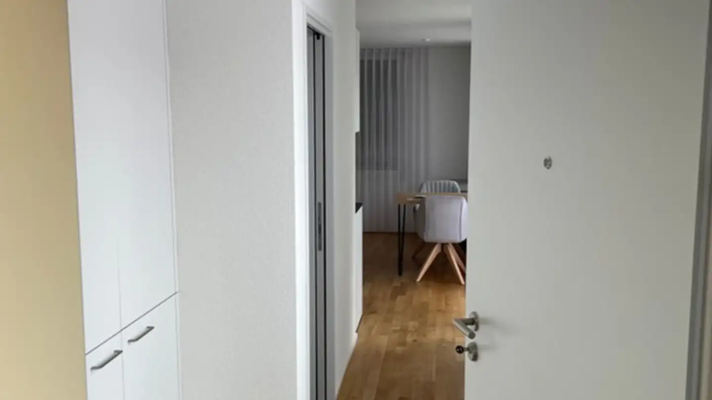 Appartamento in affitto - Meiershofstrasse, 8600 Dübendorf - Foto 2