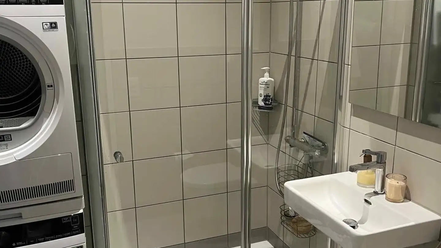 Appartement meublé à louer - Lorzenparkstrasse 25, 6330 Cham - Photo 3
