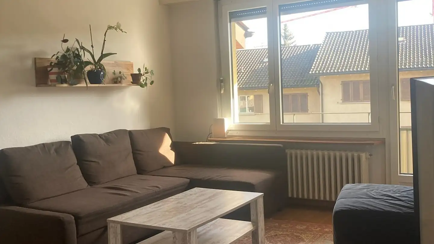 Appartement à louer - 8052 Zürich