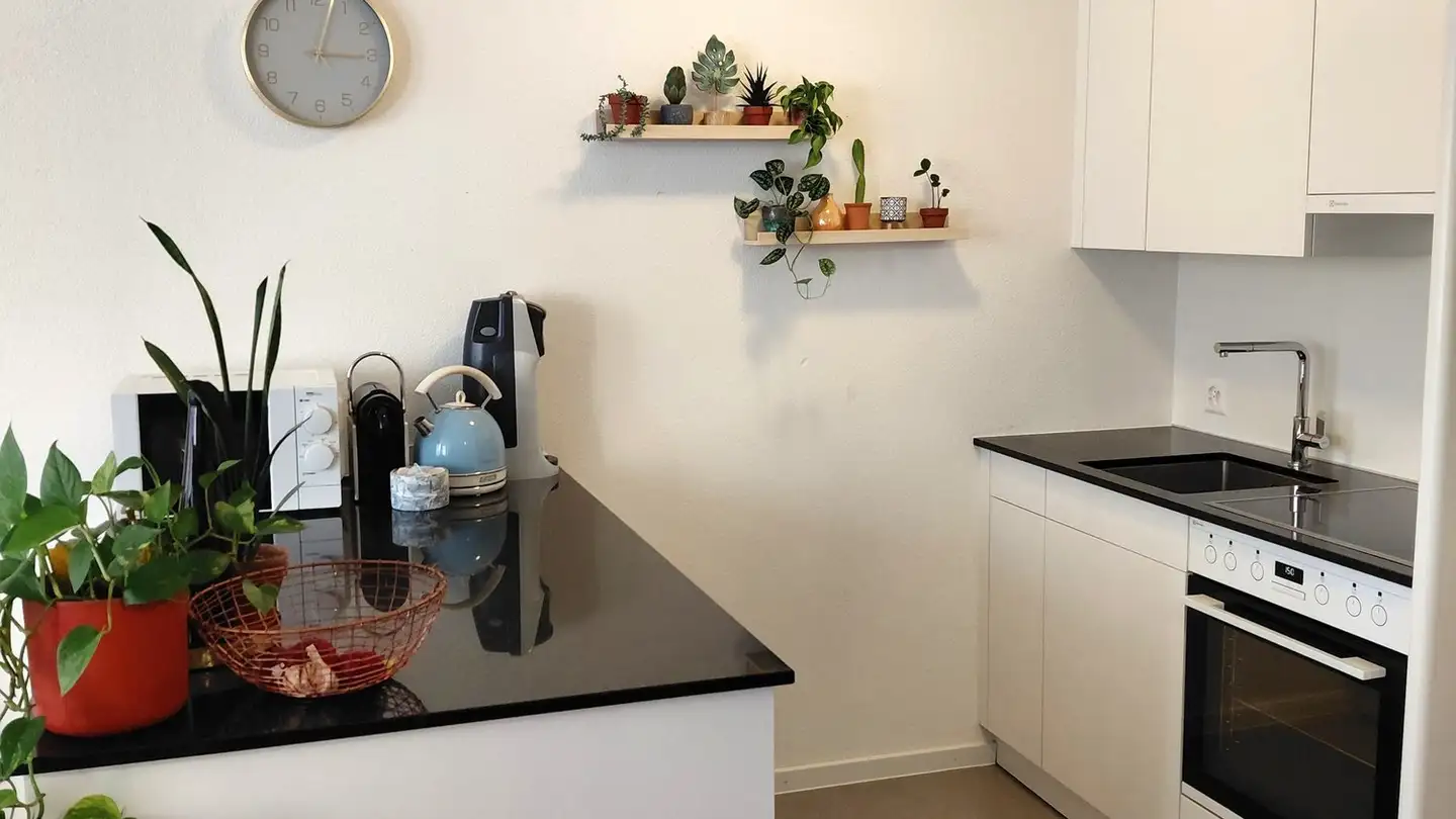 Wohnung mieten - Engelgasse 9, 4800 Zofingen - Foto 3