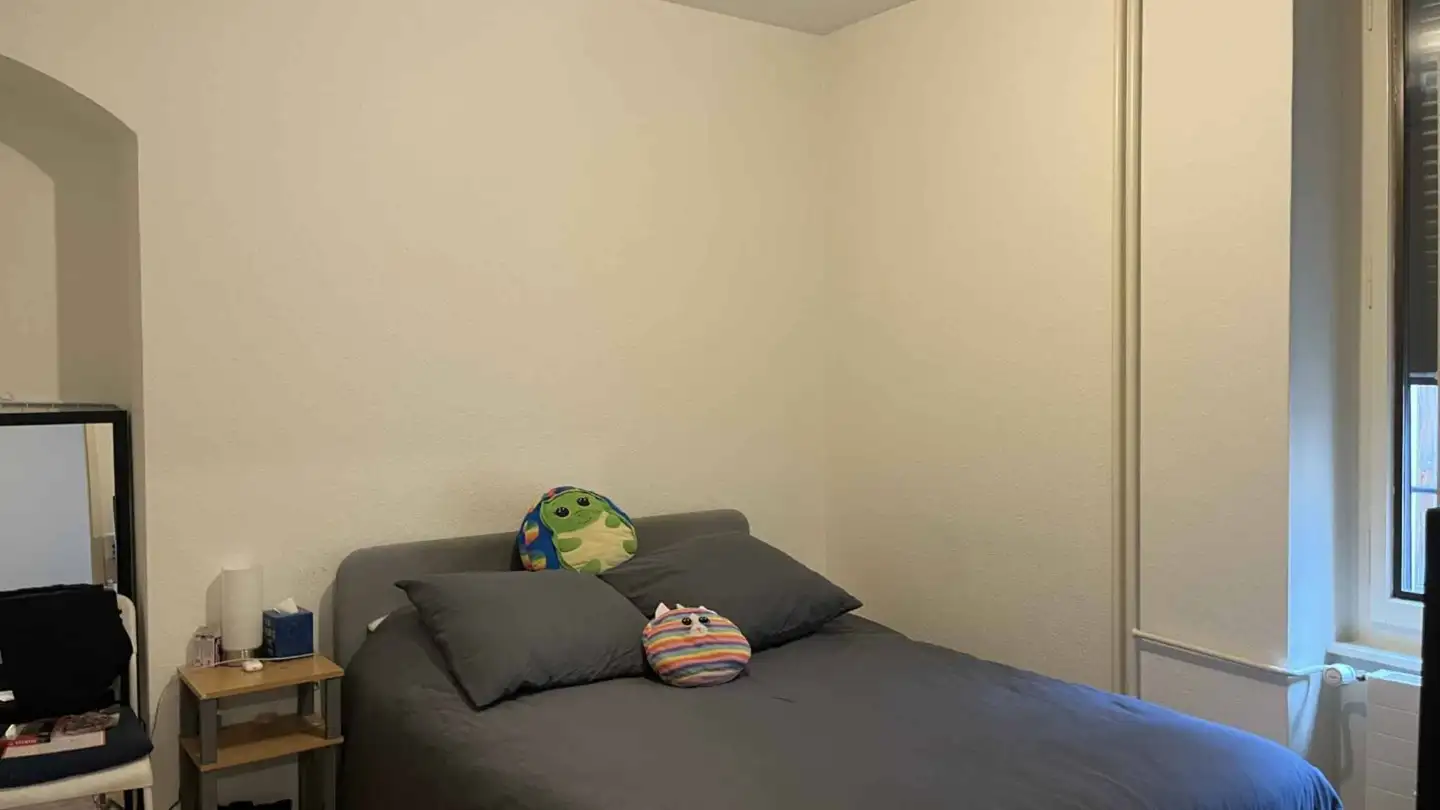 Appartamento in affitto - Rue Des Pâquis 12, 1201 Genève - Foto 2