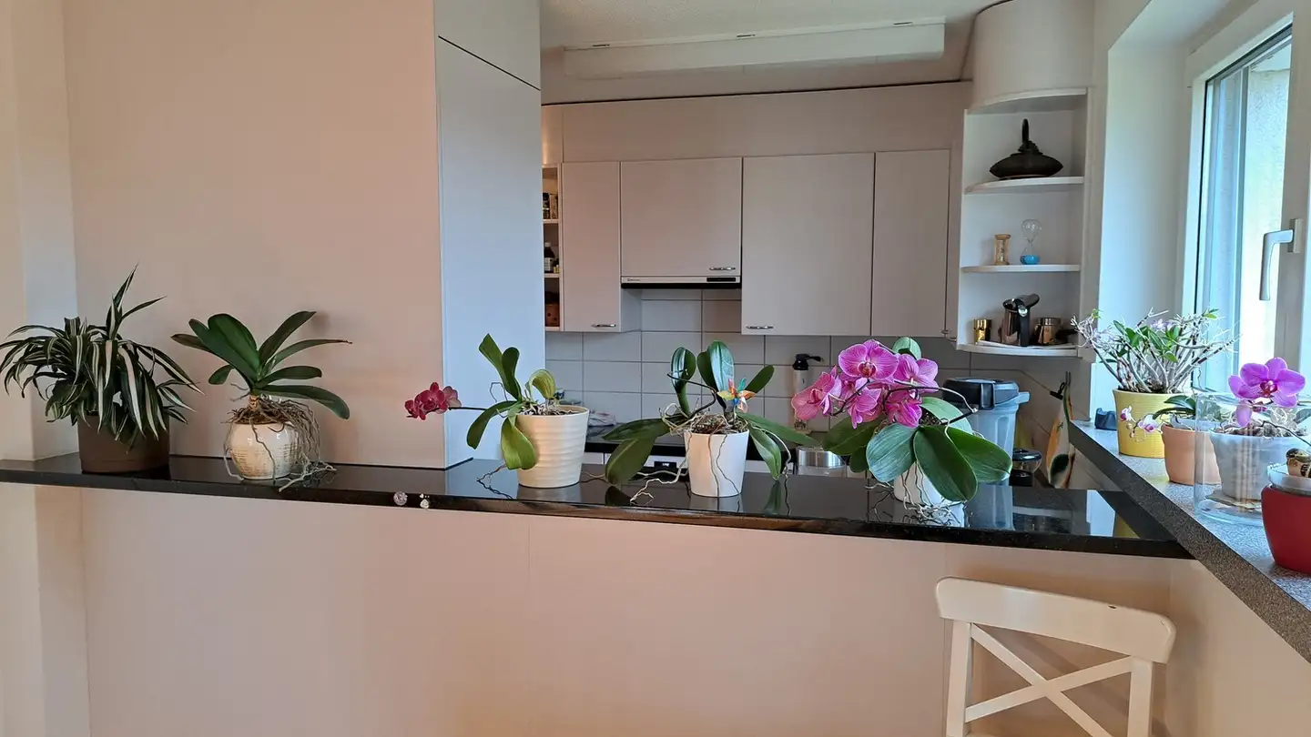 Single room for rent - 8603 Schwerzenbach - Photo 2