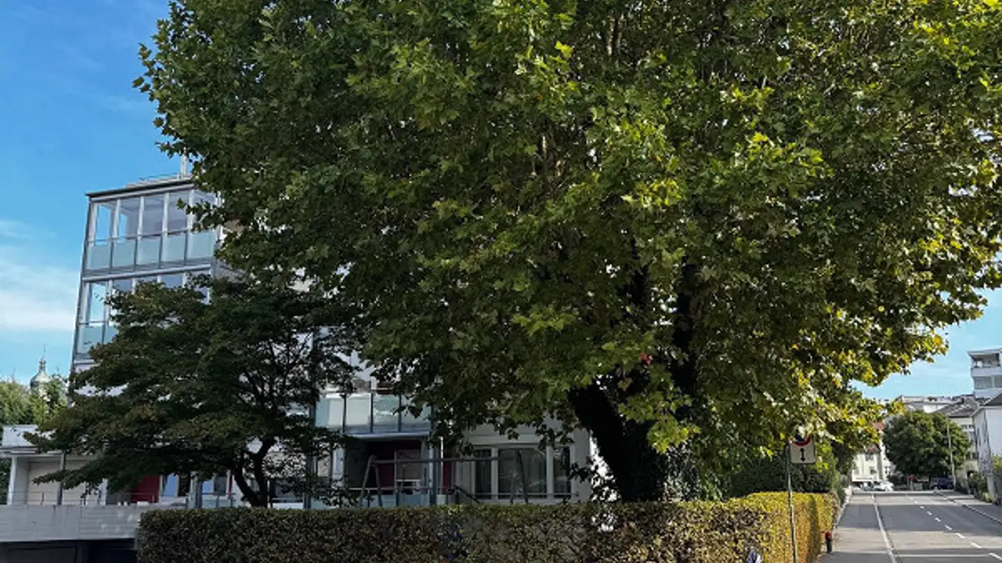 Wohnung mieten - Seidenstrasse 12, 5200 Brugg AG - Foto 3