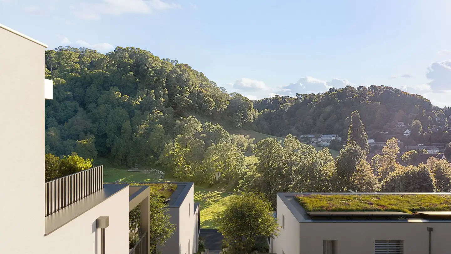 Semi-detached house for sale - Hofstetterstrasse, 4112 Flüh - Photo 4