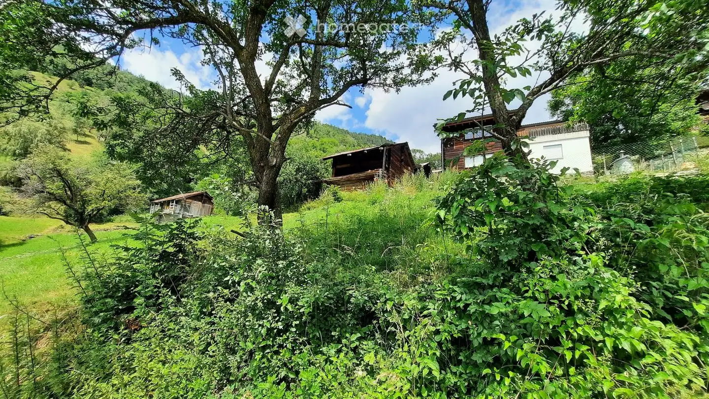 Maison individuelle à vendre - Sisetsch, 3934 Zeneggen