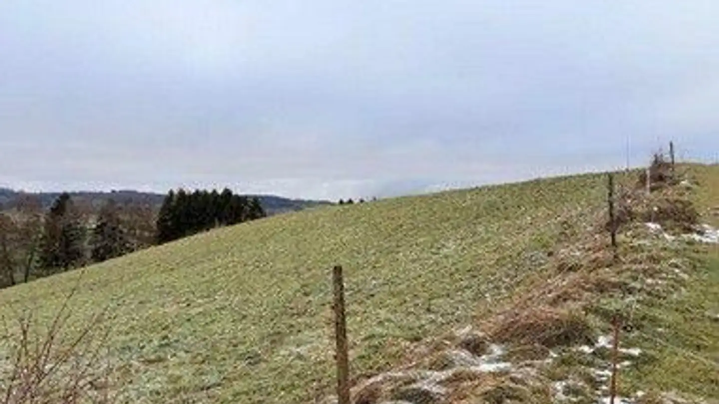 Bien immobilier à vendre - 2518 Nods