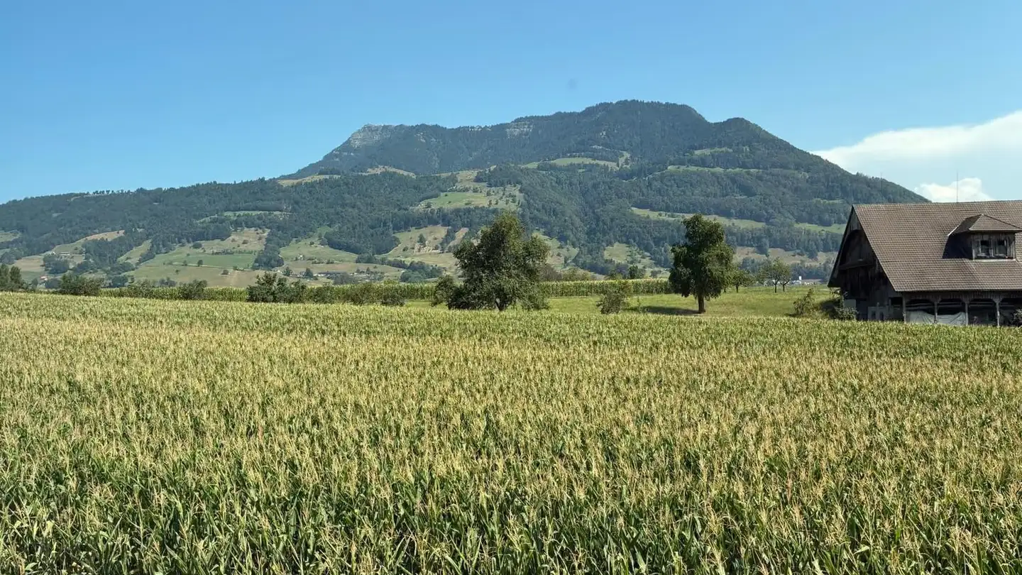 Appartamento in affitto - 6402 Merlischachen