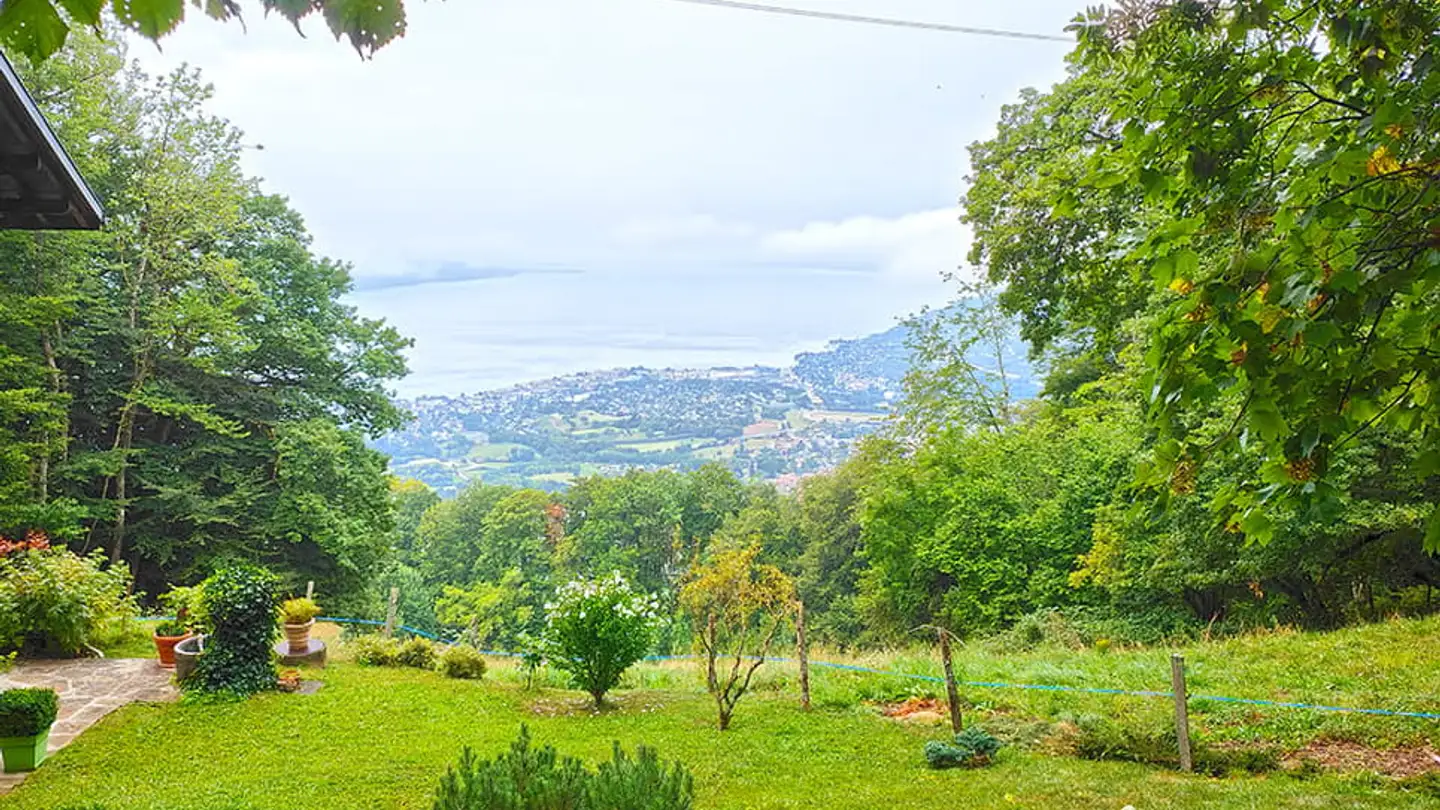 Single house for sale - 1807 Blonay