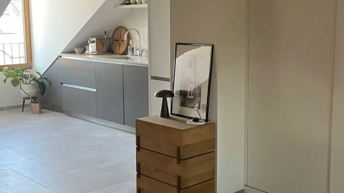Attico in affitto - Rue Du Lac 7, 1207 Genève - Foto 3