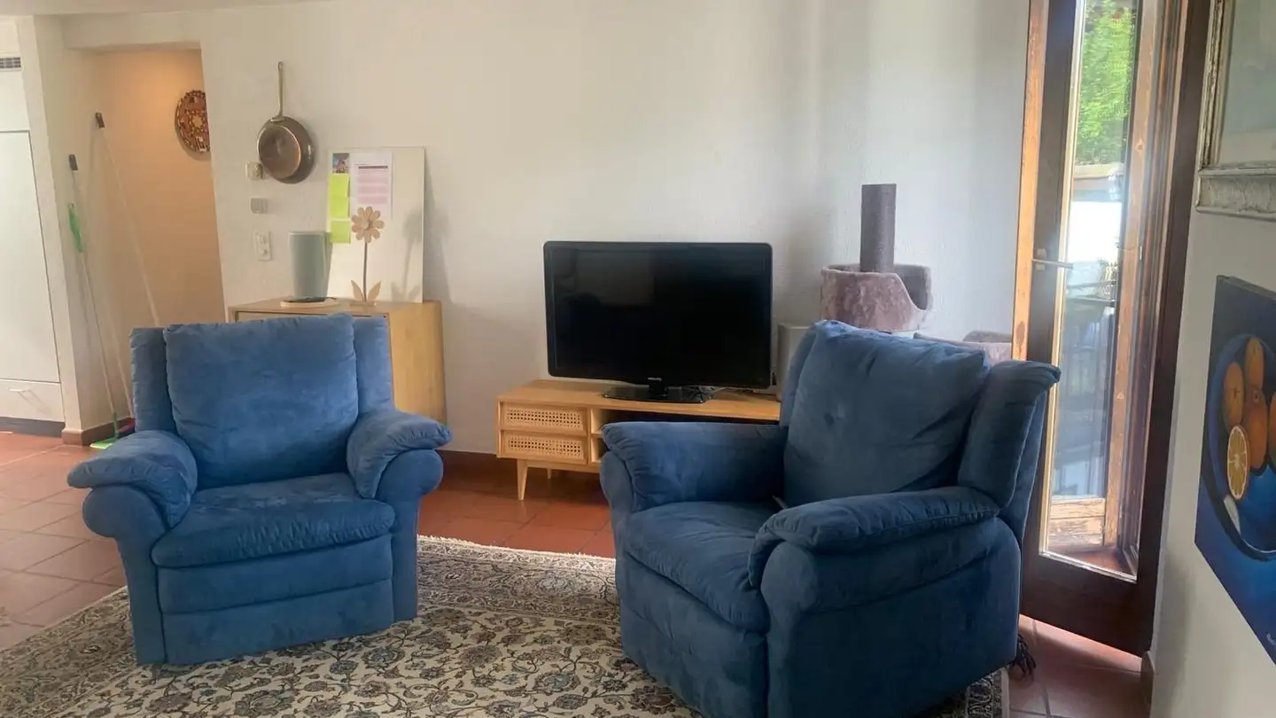 Apartment for rent - Via Sotto Dangio 5, 6949 Comano - Photo 4