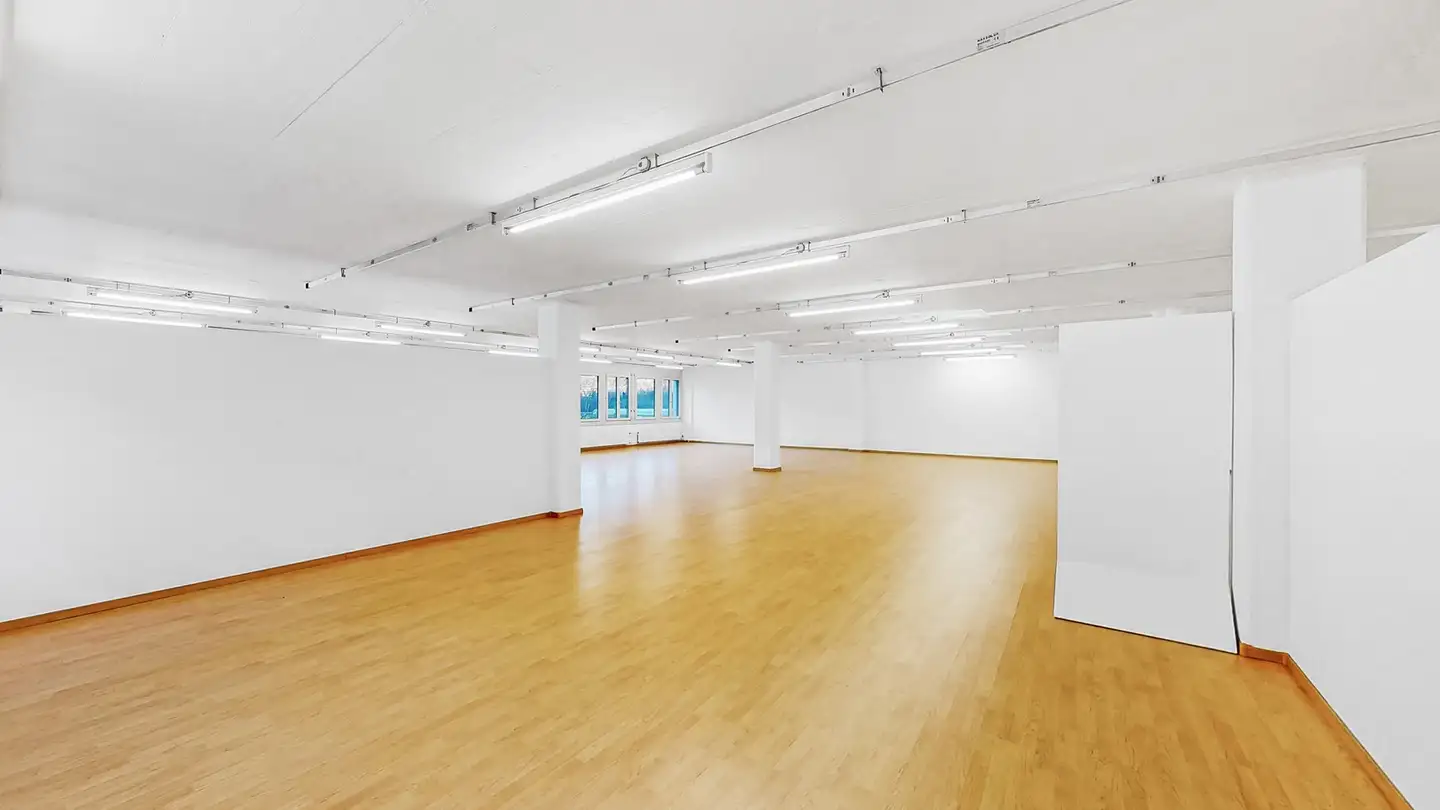 Edificio ad uso misto in affitto - Via Luserte 2, 6572 Quartino