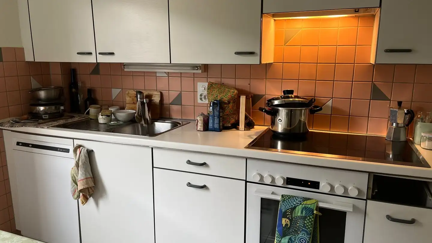 Appartement à louer - Chemin Du Midi, 1260 Nyon - Photo 3