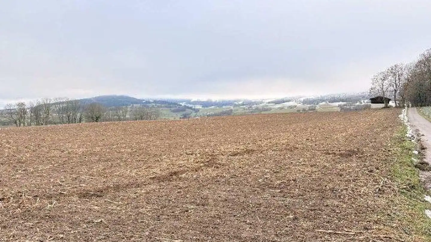 Bien immobilier à vendre - Crêt De Pâquier, 2518 Nods