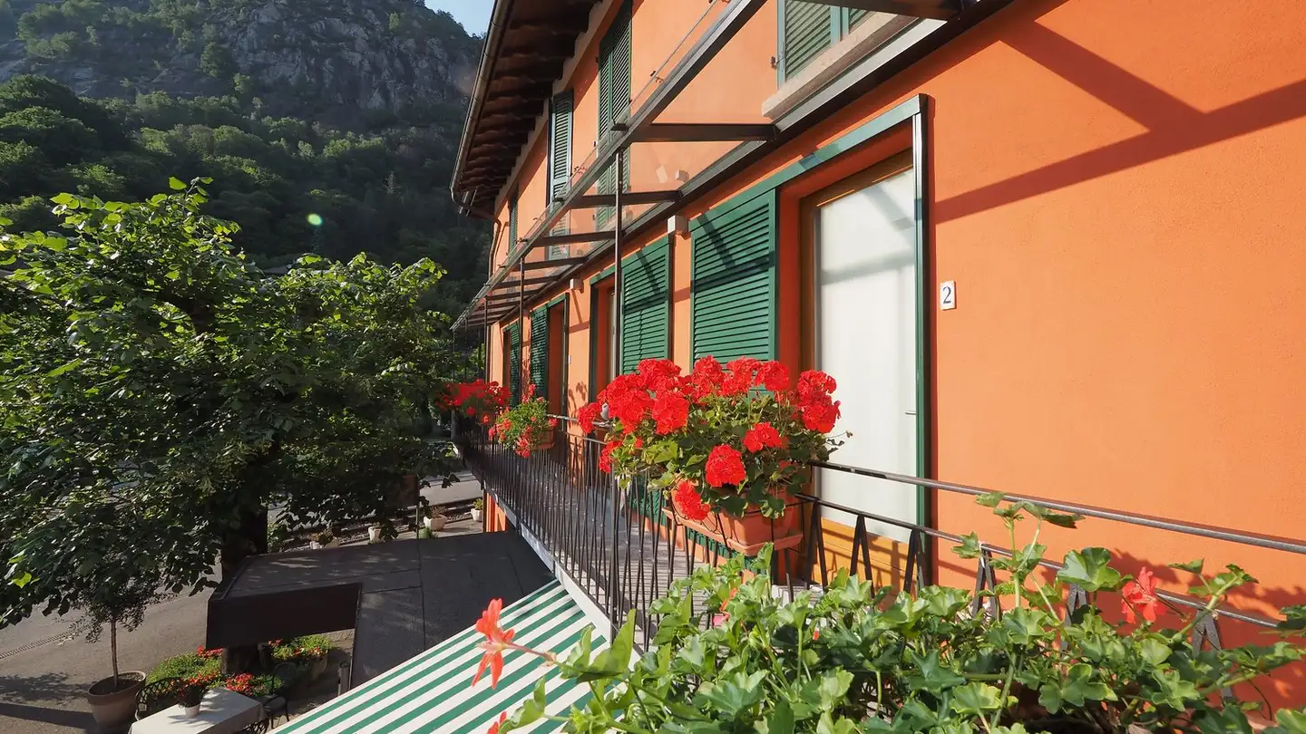 Hotel for sale - Via Vecchia Stazione 2, 6652 Tegna - Photo 2