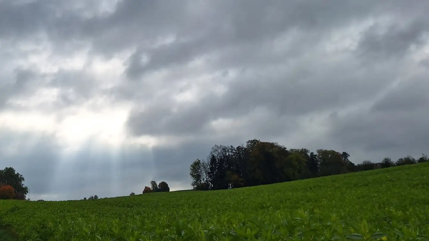 Casa singola in vendita - 5630 Muri AG