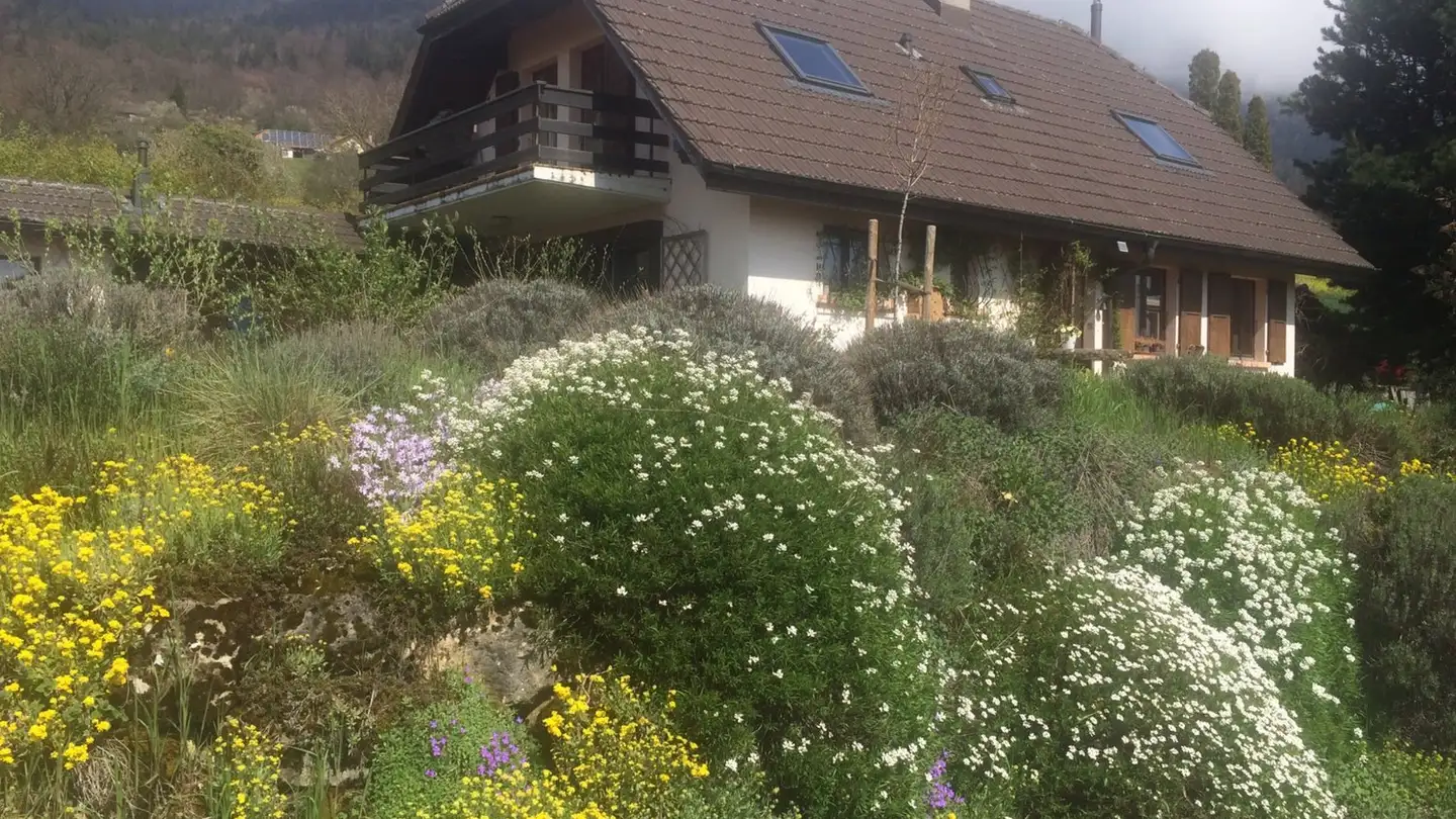 Single house for rent - 2023 Gorgier