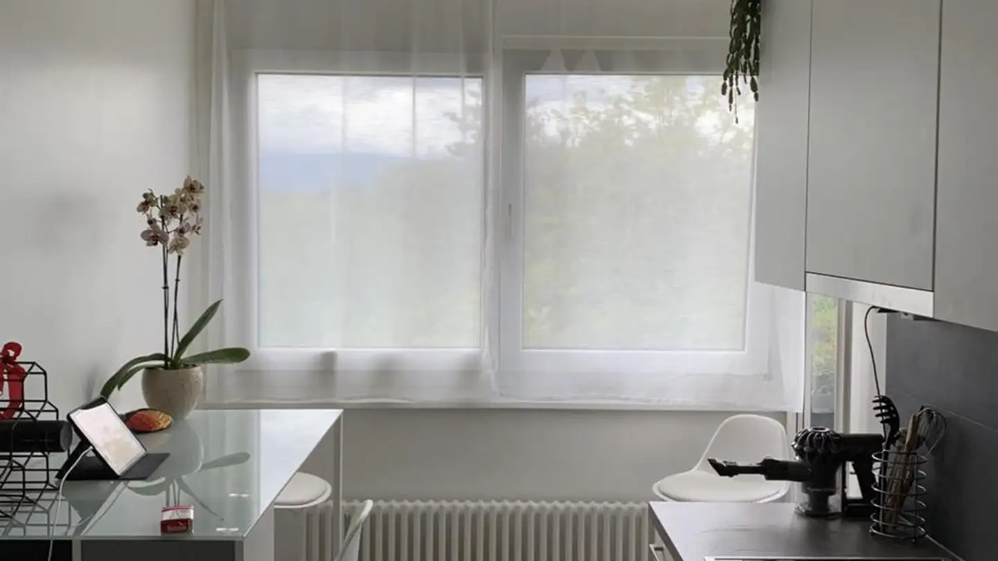 Wohnung mieten - Chemin Des Fraisiers 15, 1212 Grand-Lancy - Foto 4