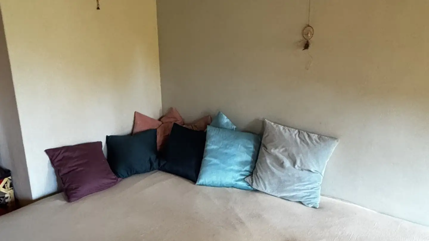 Stanza singola in affitto - 8047 Zürich - Foto 3