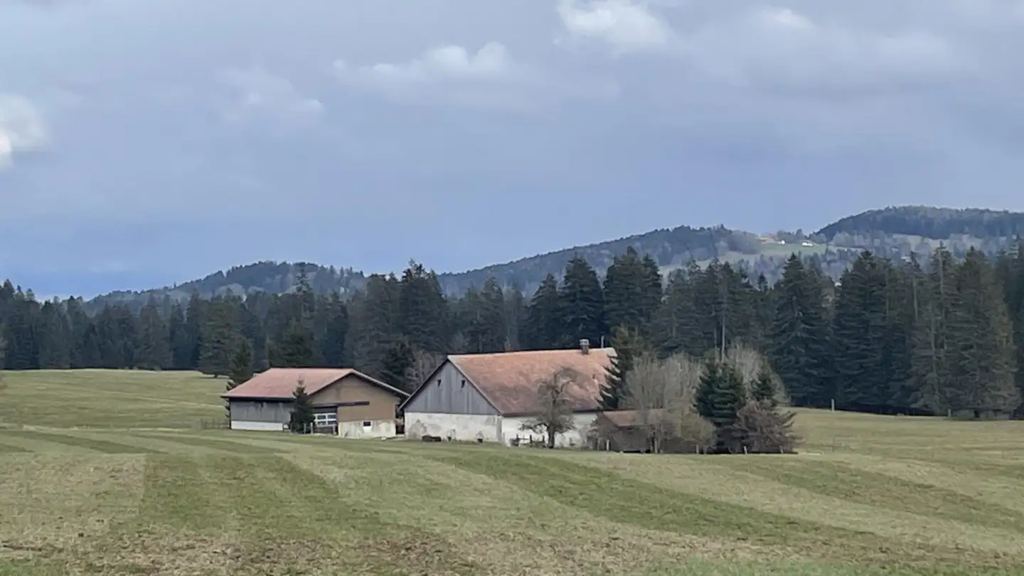 Single house for sale - 2350 Saignelégier - Photo 4