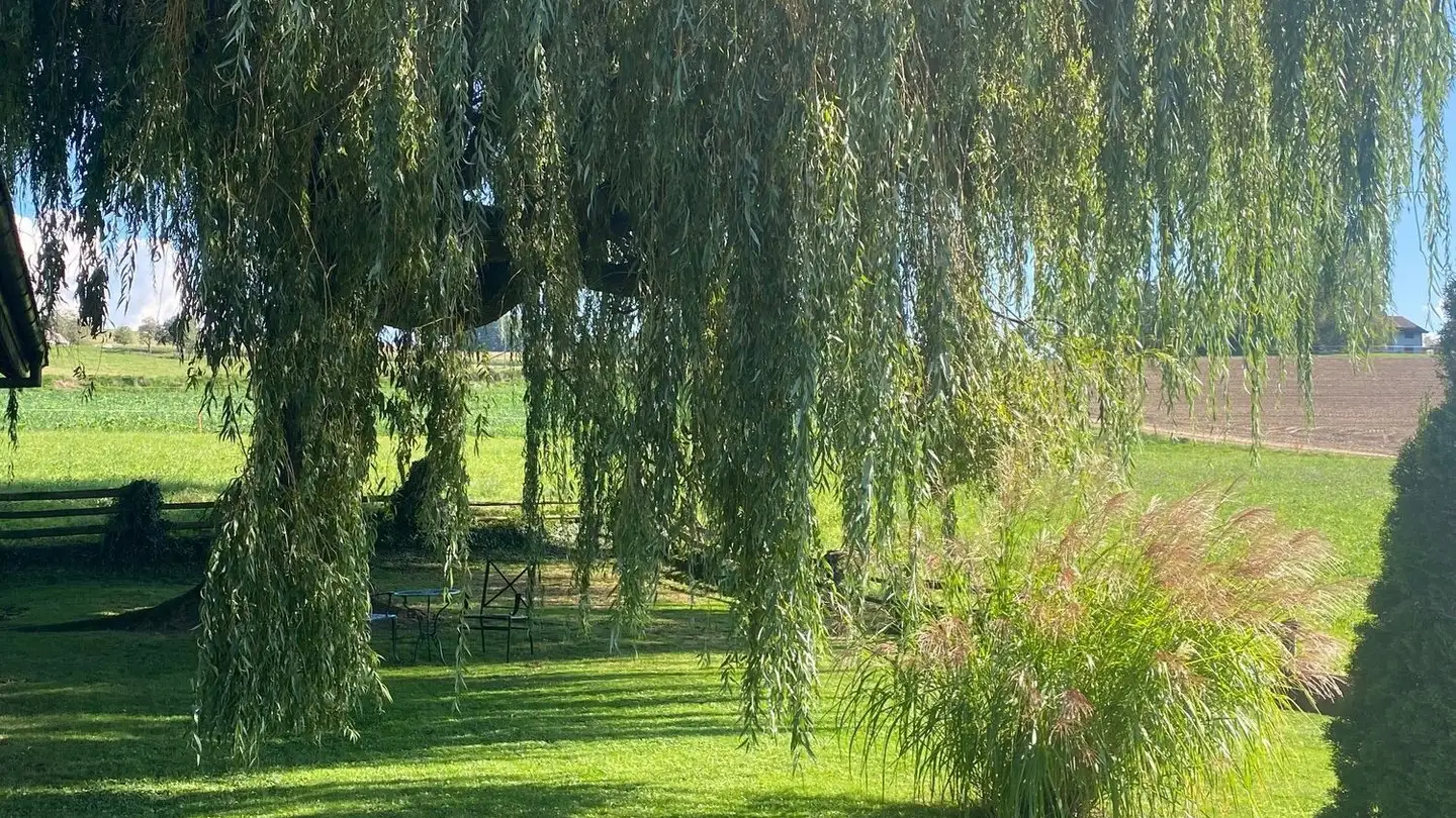 Single house for sale - 1749 Middes