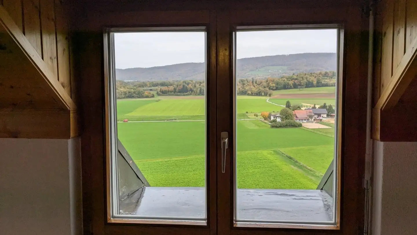 Appartamento in affitto - La Chaive 74, 2905 Courtedoux - Photo 2