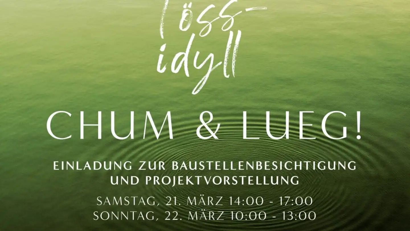 Appartamento in vendita - Tössstrasse 16, 8413 Neftenbach