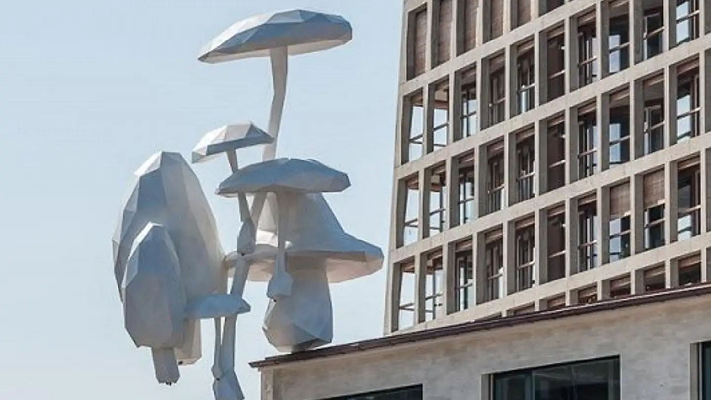 Commercial for rent - Freilagerplatz 8, 4142 Münchenstein