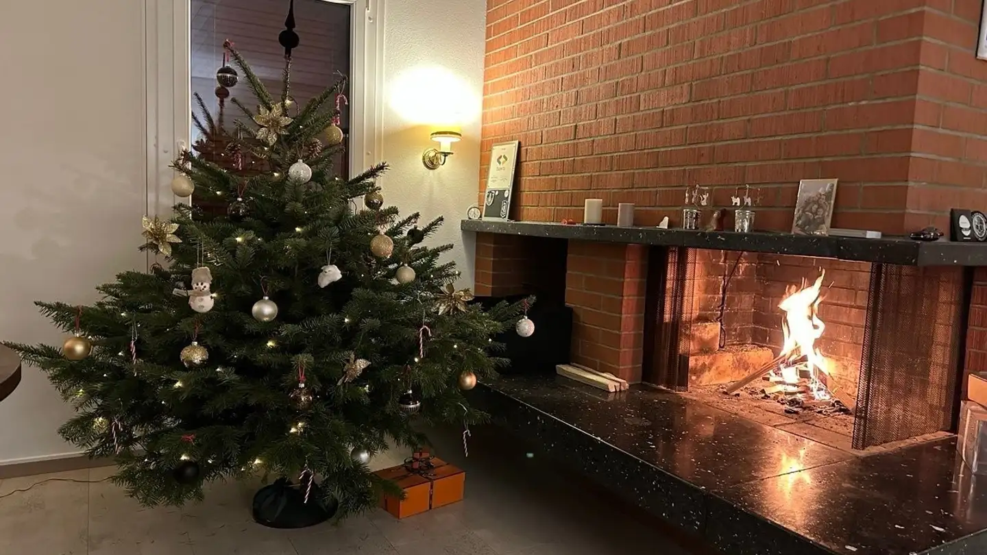 Single house for rent - 8805 Richterswil - Photo 4