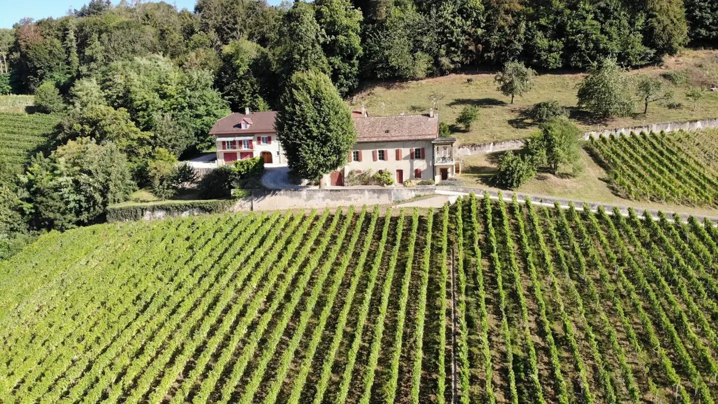 Farm for sale - 1184 Luins