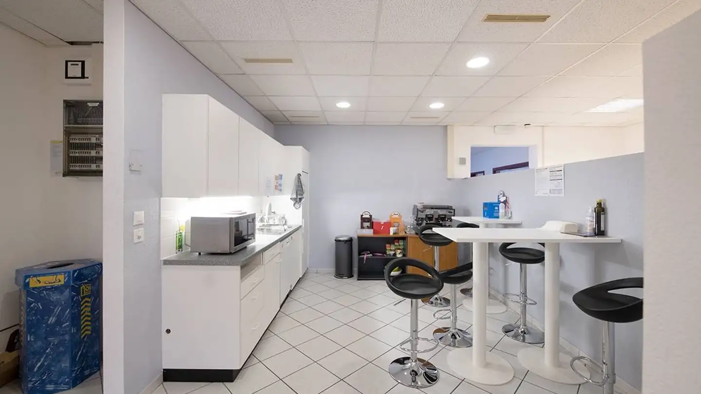Commercial à louer - Chemin Des Aulx 12, 1228 Plan-les-Ouates - Photo 3