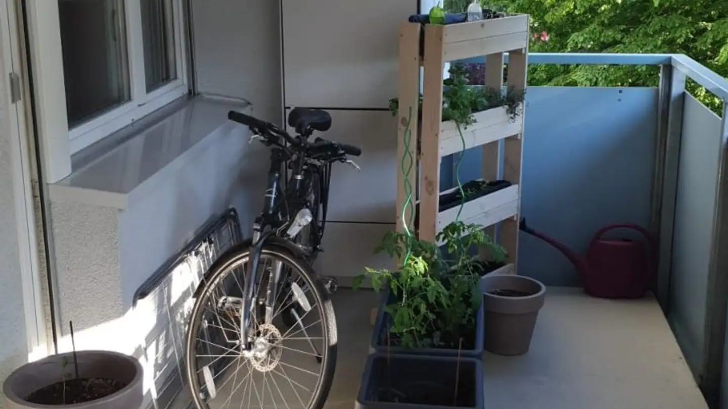 Apartment for rent - 8046 Zürich - Photo 2