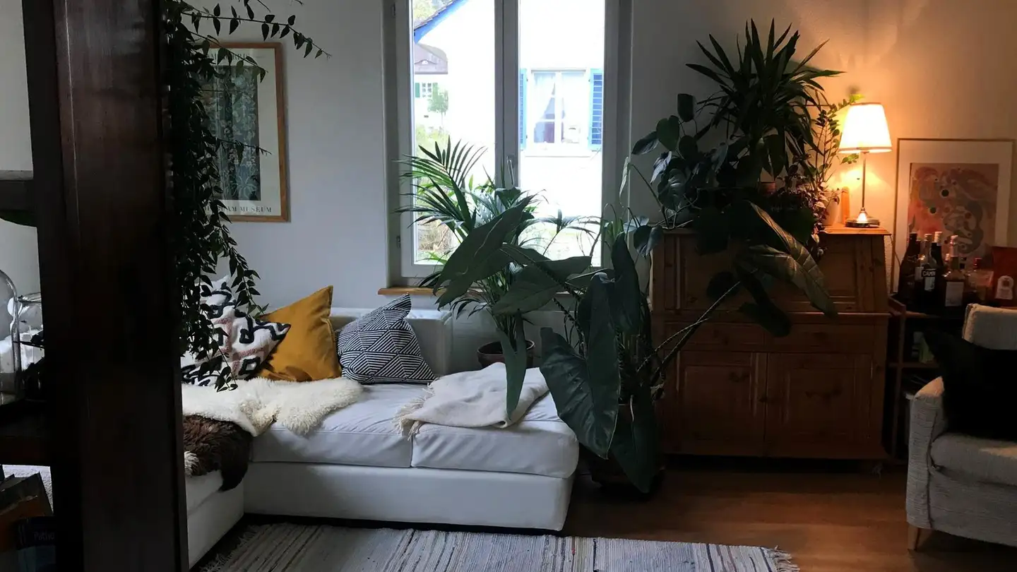 Single room for rent - Agleistrasse 4, 8046 Zürich - Photo 2