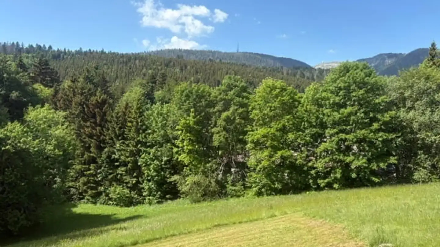 Appartement à louer - Route Des Cheseaux-Dessus, 1264 St-Cergue - Photo 4
