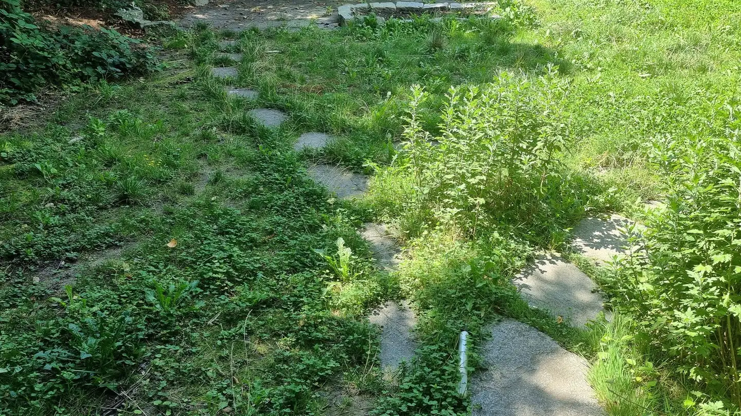 Chambre à louer - Titlisstrasse 40, 8032 Zürich - Photo 4