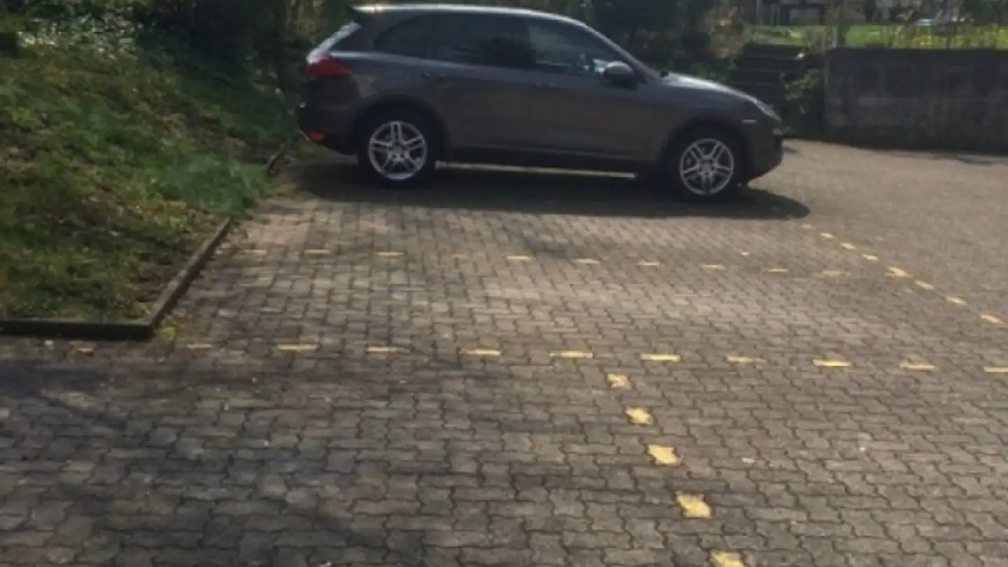 Geschäft mieten - Engstringerstrasse 46, 8952 Schlieren