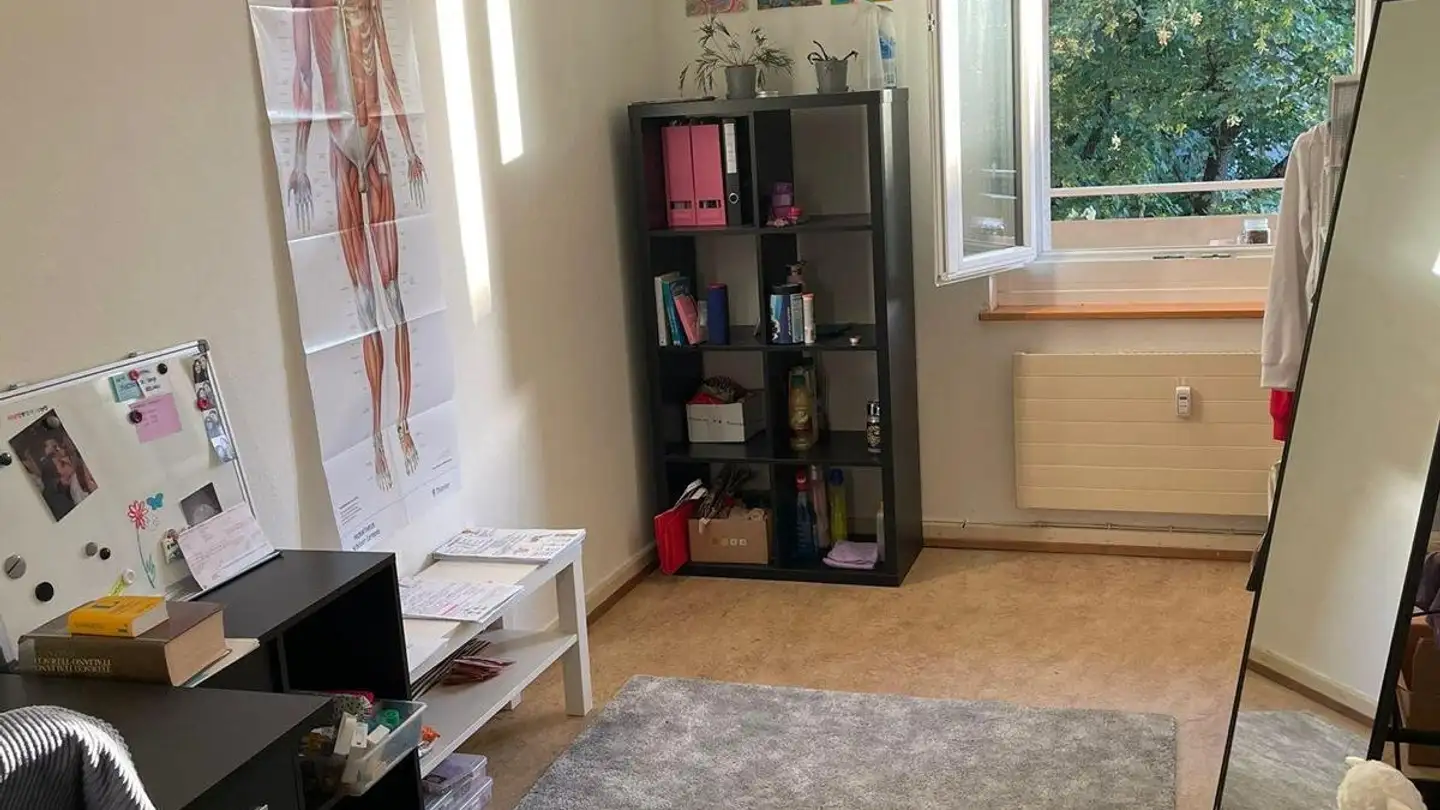 Single room for rent - Liestaleranlage 56, 4052 Basel