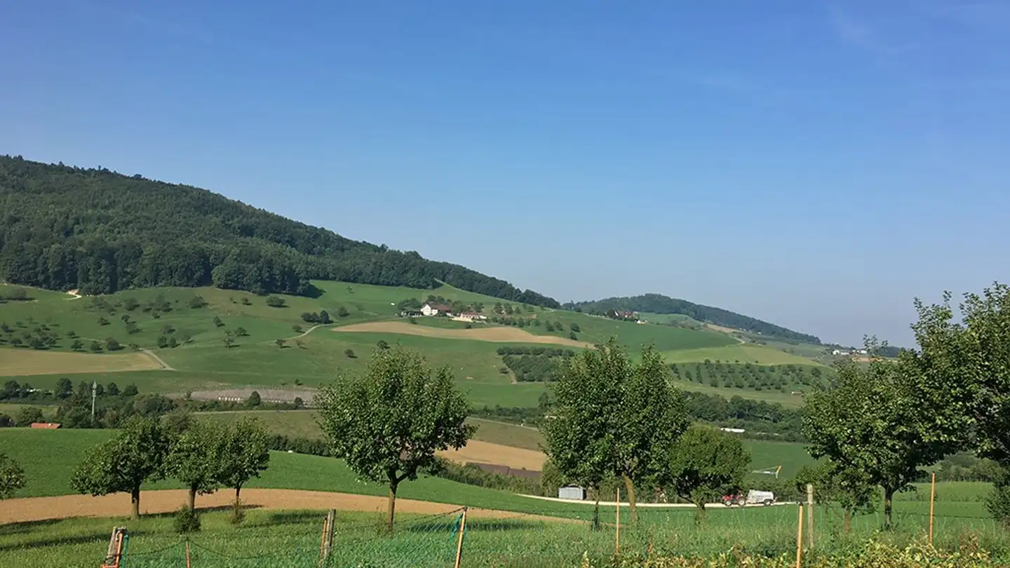 Maison individuelle à vendre - 4422 Arisdorf - Photo 4