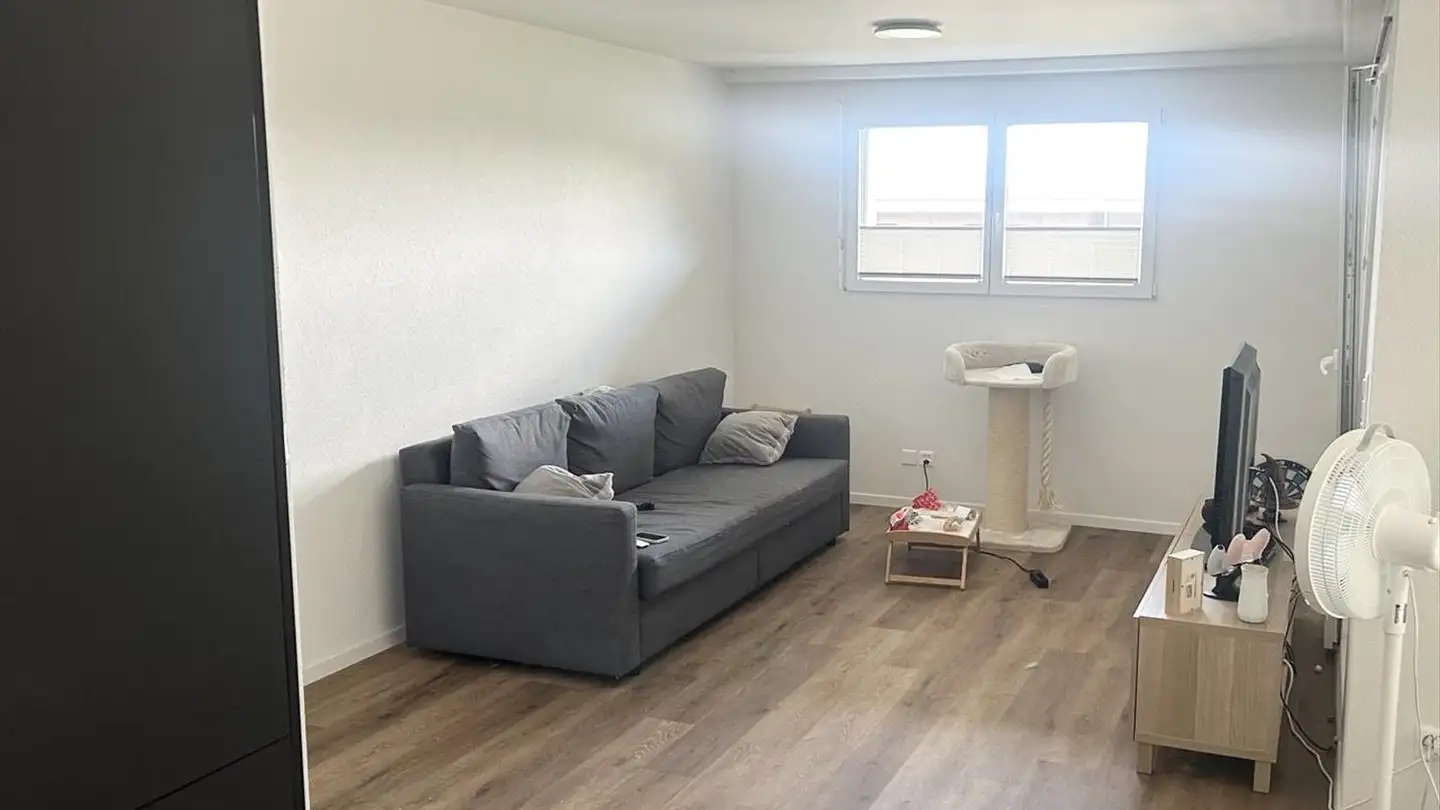 Attico in affitto - Chemin Du Canal 12, 2016 Cortaillod - Photo 3