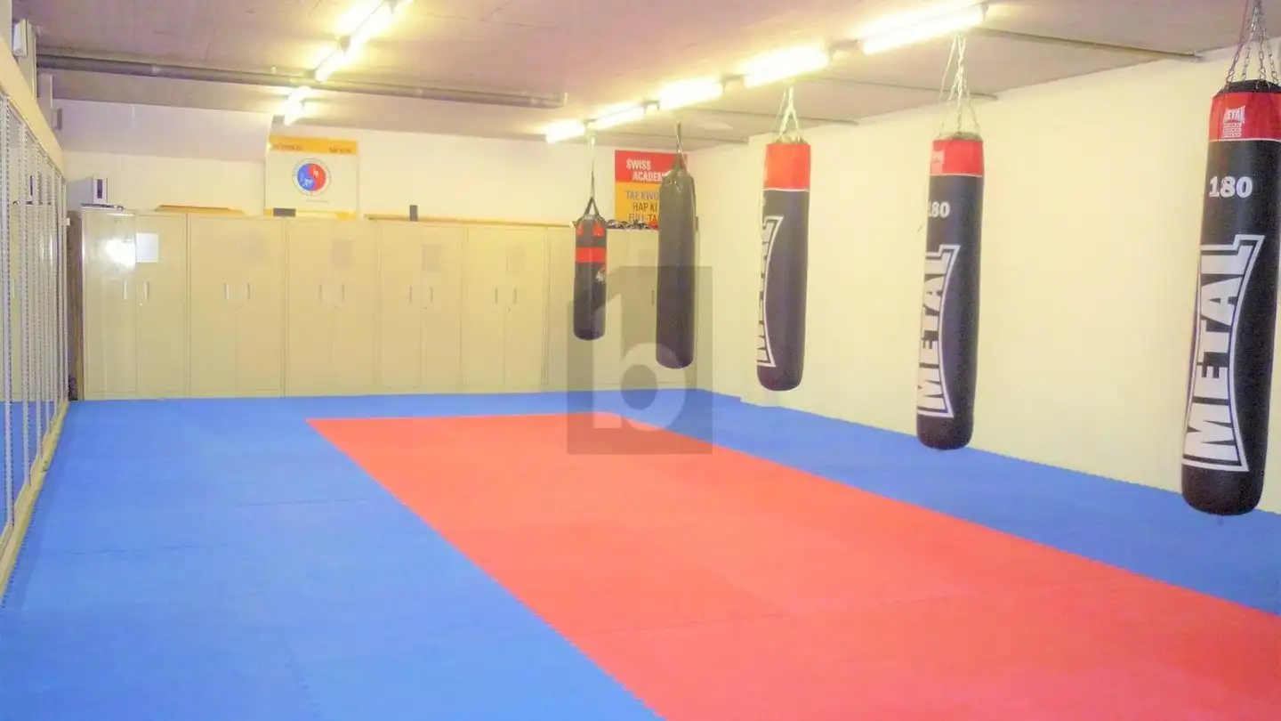 Industrieimmobilie mieten - 1305 Penthalaz - Foto 3