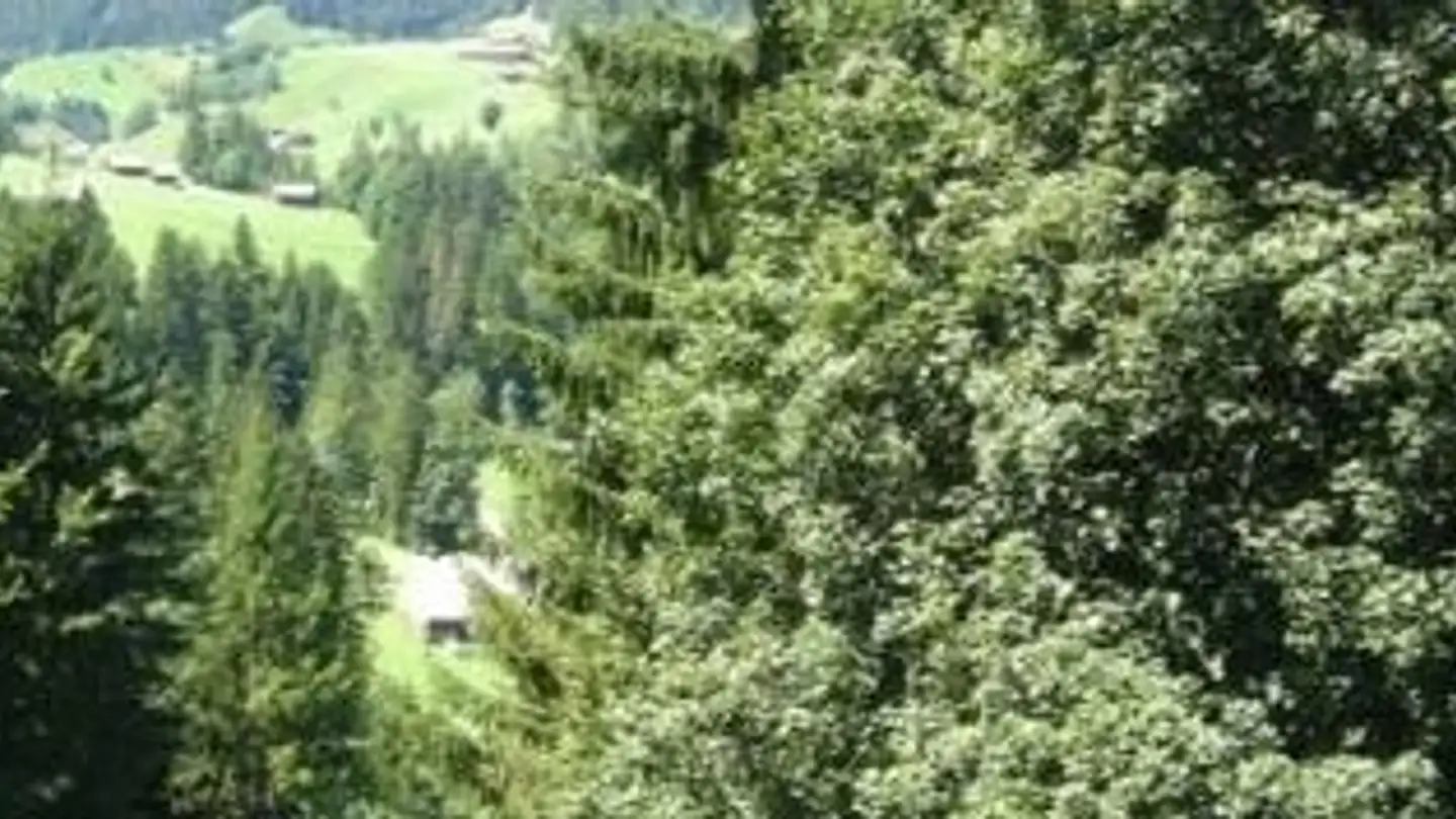 Appartamento in affitto - Horboden, 3755 Horboden - Foto 2