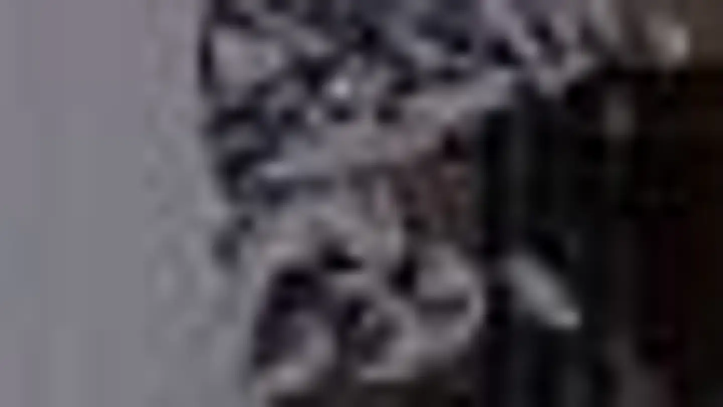 Appartamento in affitto - Horboden, 3755 Horboden - Foto 4